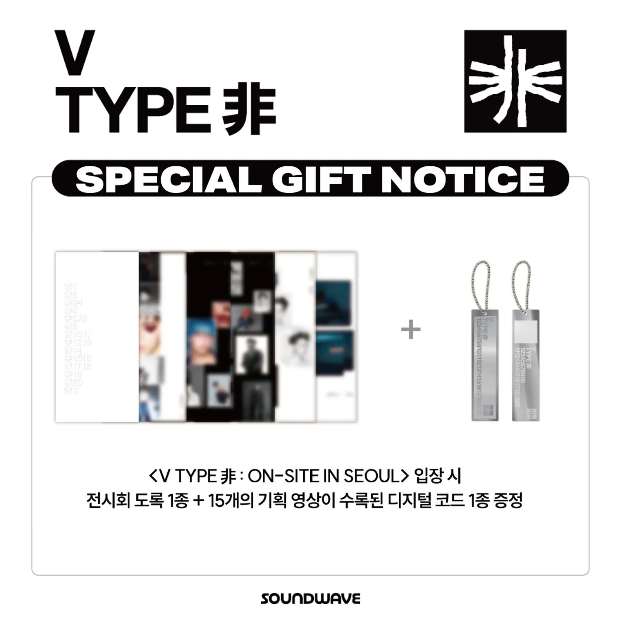【国内発送】 【公式】 BTS テテ 【 入場特典 SPECIAL GIFT NOTICE 】 V TYPE 非 : ON-SITE IN SEOUL 韓国 展示会