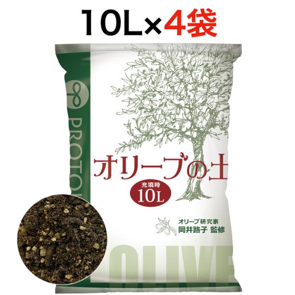 プロトリーフ オリーブの土 10L 4袋セットアルカリ性 川砂配合 オリーブ Olive protoleaf