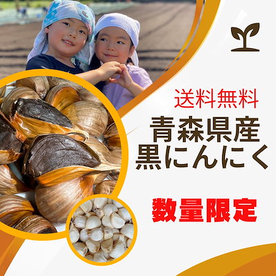 青森県産 にんにく 10キロ オンライン 通販
