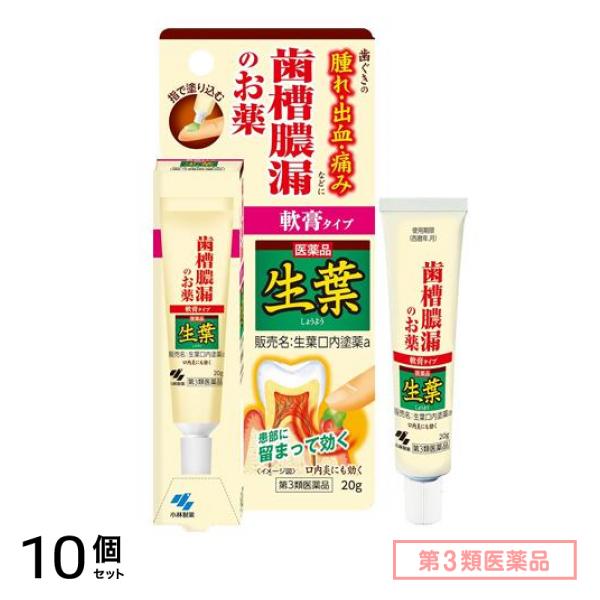 第３類医薬品 生葉(しょうよう)口内塗薬 軟膏タイプ 20g 10個セット