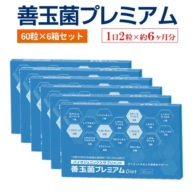 善玉菌プレミアム 60粒入り×6個セット（合計360粒） 【1日2粒×約6ヶ月分】善玉菌 乳酸菌　乳酸菌生産物質 1粒あたり 50mg 配合