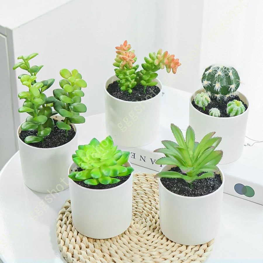 ミニ ナチュラル ダイニング インテリア サボテン 人工観葉植物 トイレ キッチン フェイクグリーン 玄関 メーカー直販人工多肉植物 造花 雑貨 リビング 寄せ植え