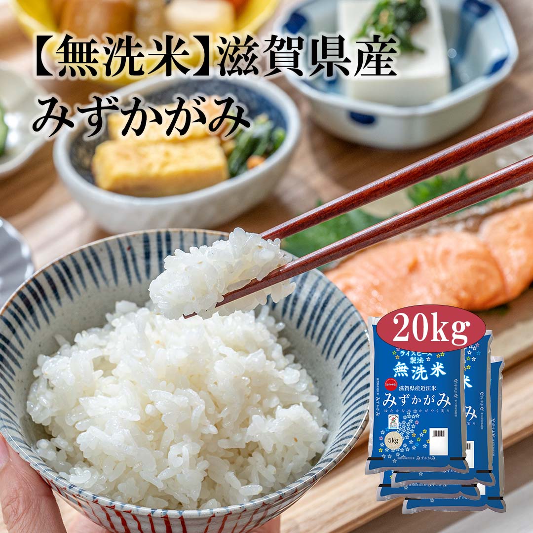 無洗米 米 滋賀県産 近江米 みずかがみ 20kg 5kg 4セット 令和7年産 お米 こめ 20キロ 安い おこめ 白米 国産 食品 ギフト 引っ越し 内祝い お歳暮 送料無料 おくさま印 新米