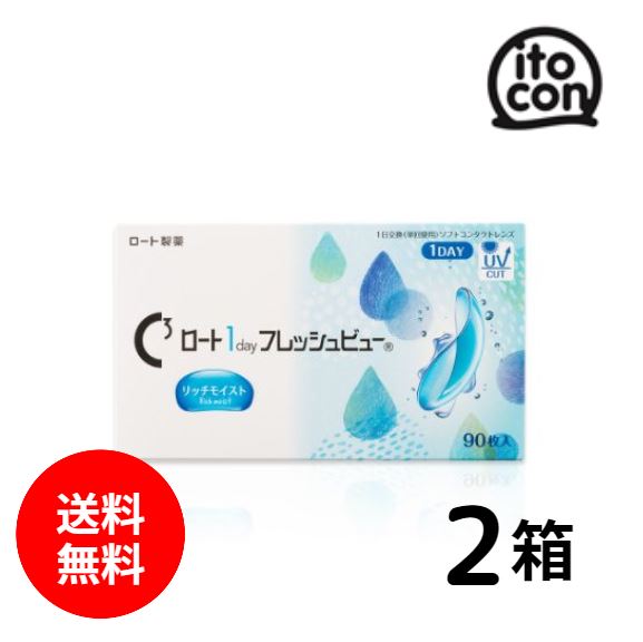 ロート1dayフレッシュビューリッチモイスト 90枚入り 2箱