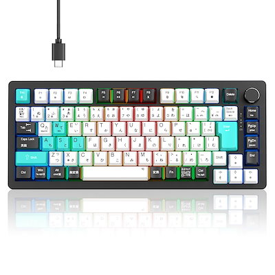 Bellwood Super Swinger (鈴木バイオリン) 【公式通販】