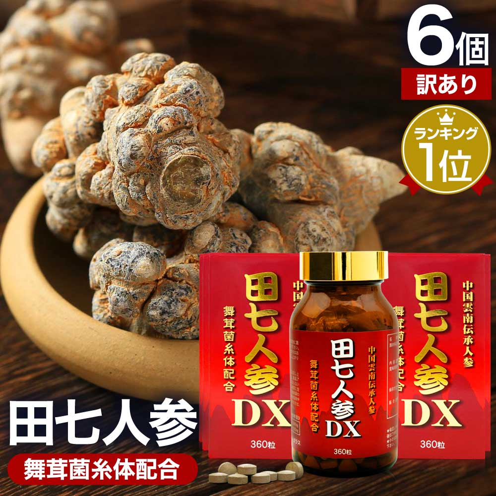 訳あり 田七人参DX 360粒*6個 約180日分 賞味期限2026年7月以降 サプリメント サプリ