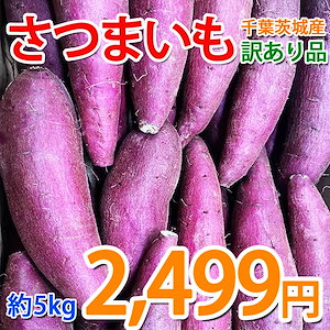 今年の新物 さつまいも ５KG 訳あり品 紅はるか或いはシルクスイート サツマイモ 焼き芋に 千葉県茨城県産地厳選 品種とサイズおまかせ 美味しい やきいもに 食物繊維 美容 スイーツ