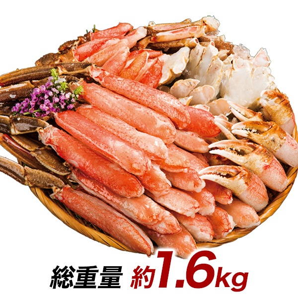 絶品！大型生ズワイガニ剥き身欲張りセット 総重量:約1.6kg(正味1.2kg)