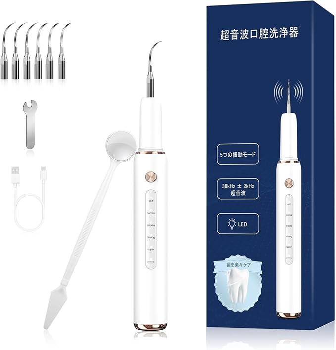 超音波歯クリーナー 口腔洗浄器 5モード調整可能 USB充電式 内蔵LEDライト