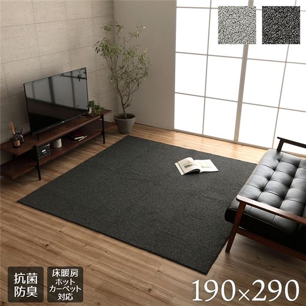 ラグ 長方形 ループパイル 高級感 抗菌防臭 オーバーロック ブラック 約4畳 約190x290cm