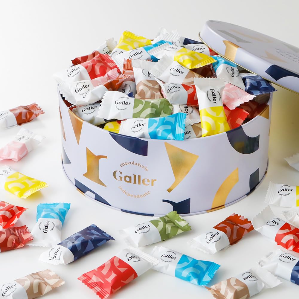 ガレー Galler チョコレート ベルギー王室御用達 ナノバー 100個入り バレンタイン お年賀 ギフト スイーツ お菓子 個包装 お取り寄せ 手さげ袋付き