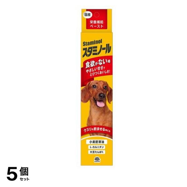 スタミノール 100g 5個セット
