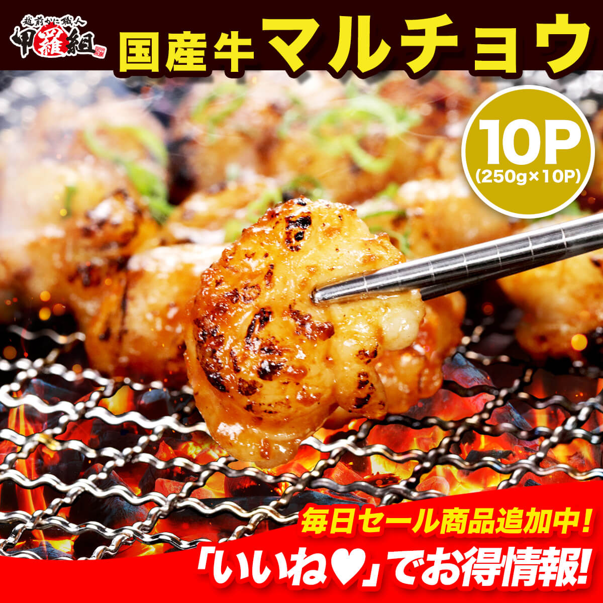 国産 牛 マルチョウ 250g × 10袋 ホルモン ほるもん ヒモ ひも ホソ ほそ モツ もつ コプチャン 焼肉 冷凍 BBQ バーベキュー まるちょう 丸腸 小腸 もつ鍋