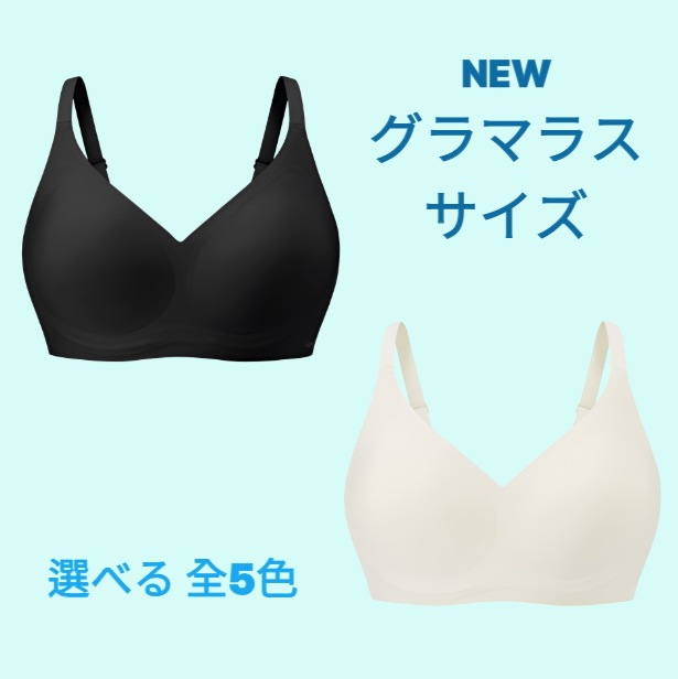 ベリッシュ【C～Gカップ用】 クールフィットブラ コンフォート BIG 韓国 超大人気 下着 ブランド 大きめ サイズ
