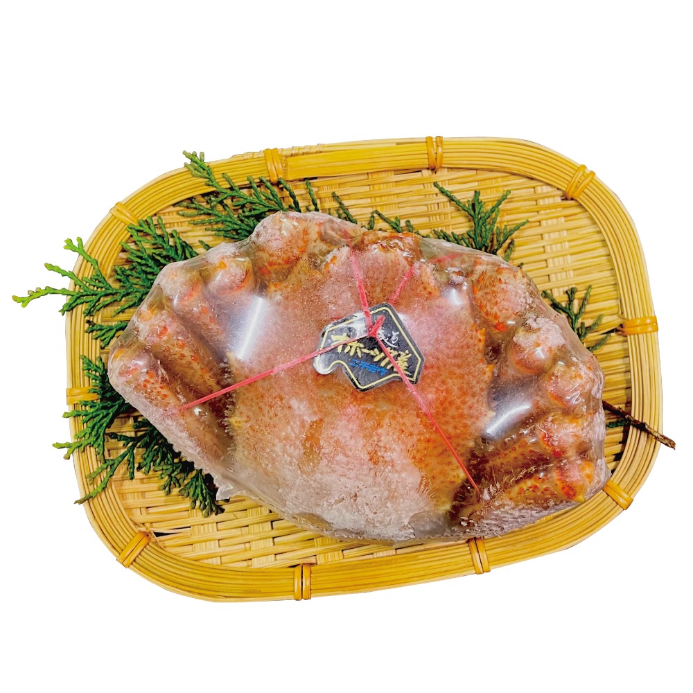 北海道産 浜茹で毛蟹(堅蟹) 約500g1尾 【流氷明け かに カニ 毛がに 毛ガニ かにみそ 贈り物 ギフト 内祝い 快気祝い 誕生日】
