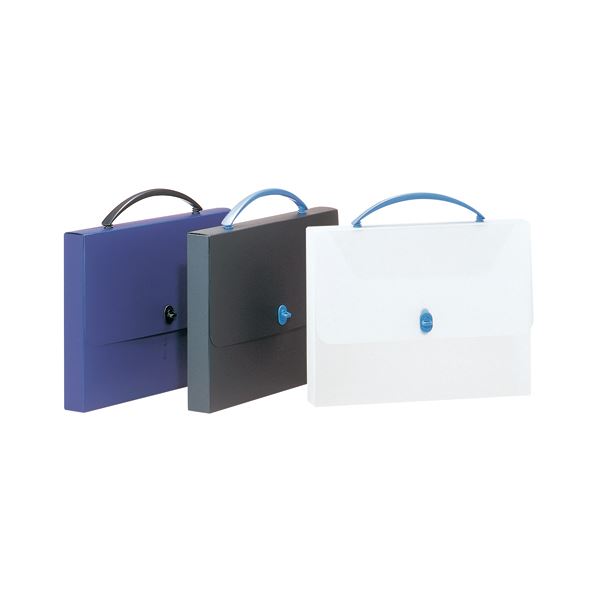 (まとめ) ライオン事務器 デザインケース A4ブラック DS-253 1個 (×10セット)