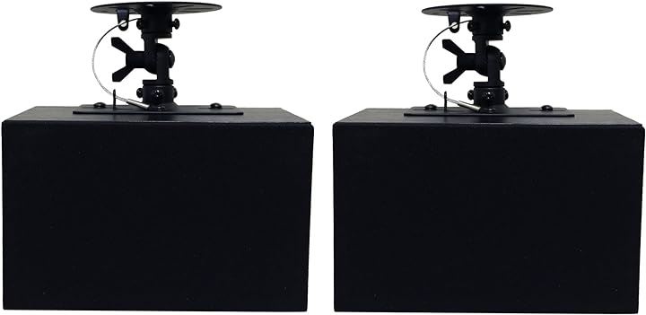 天吊りスピーカー DVT-WD1 シングルスピーカー壁掛け 天井ブラケット付き 定格15w-最大20W 小型 店舗スピーカー 4ω 黒( ブラック)