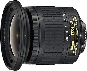 Nikon 広角ズームレンズ AF-P DX NIKKOR 10-20mm f/4.5-5.6G VR ニコンDXフォーマット専用