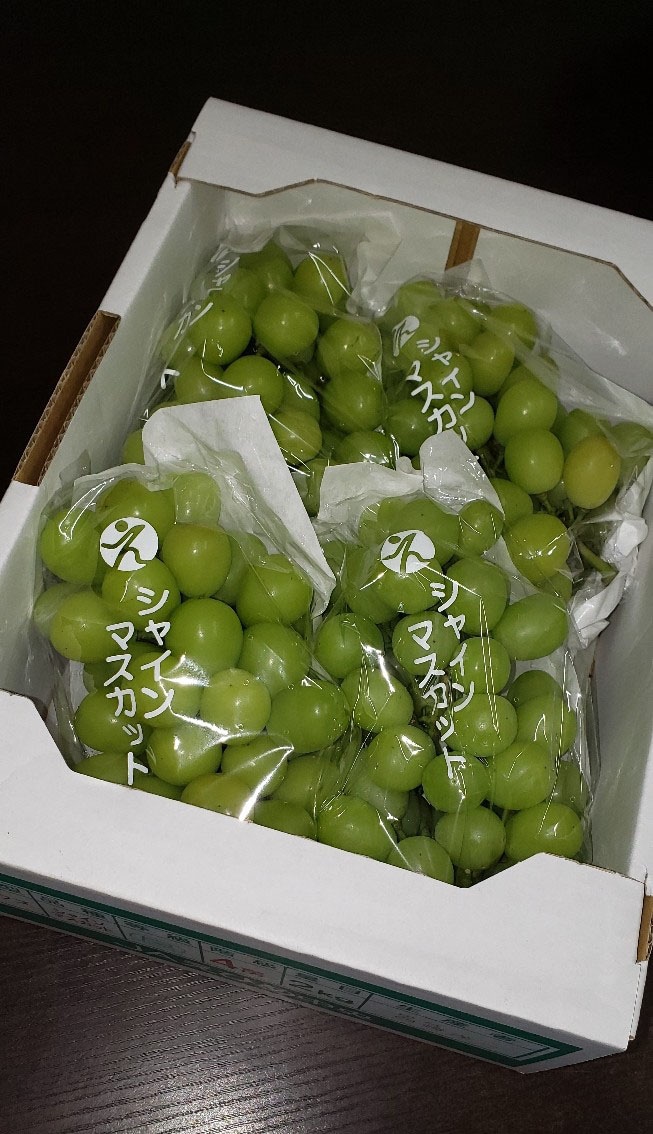 シャインマスカット　１箱（約２ｋｇ）４～６房入り