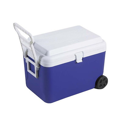 鹿島アントラーズ 支給 ピステ パンツ ユニフォーム 安西 三竿 等