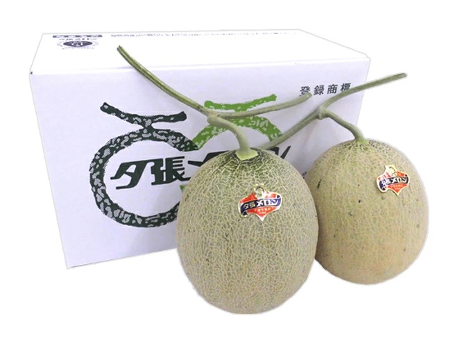 産地直送 北海道 夕張メロン 2玉 約2.6kg 共撰/秀品 化粧箱入り=秀6-2玉=予約 6月下旬以降