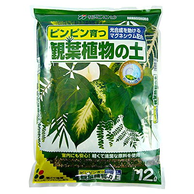 他サイト： 培養土　観葉植物の土　１２Ｌ　お一人様６点限り　ＣＲＣ90―10―05―15―00の商品画像