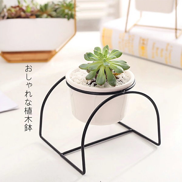 Qoo10] 小さめ植木鉢 多肉植物の寄せ植え鉢 多肉