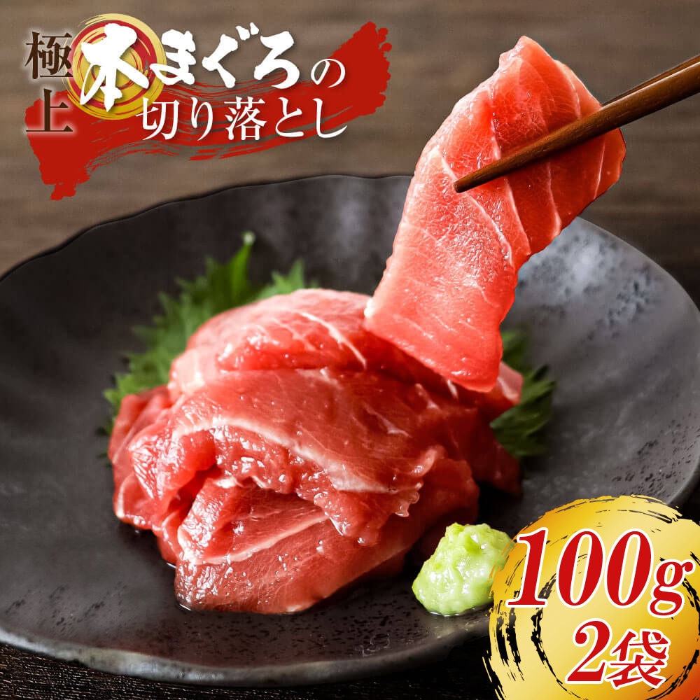 大熊産直 訳あり 本まぐろ 100g×2袋 切り落とし 赤身 鮪 高級 本マグロ 不揃い 中落ち 中トロ 大トロ 海鮮丼 マグロ丼 刺身 おつまみ おかず 手巻き寿司 ご飯のお供 冷凍便 ヤマト発送