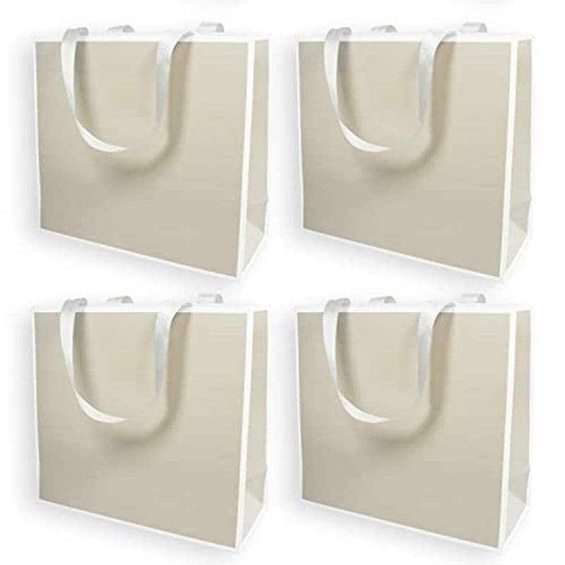 紙袋 ギフトバッグ 新規購入 ４枚セット 手提げ袋 【最安値】 プレゼント 大活躍する ギフト のシーンで ラッピング