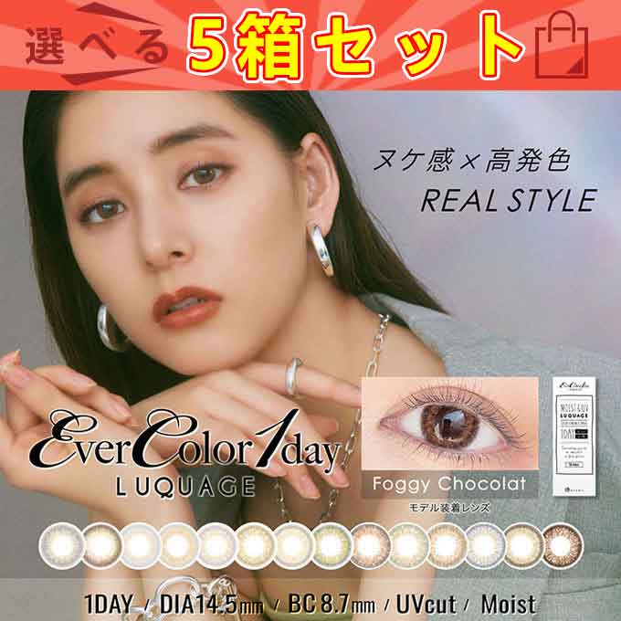 カラコン 1day エバーカラーワンデー ルクアージュ （5箱50枚）カラーコンタクトレンズ 度なし 度あり 14.5mm