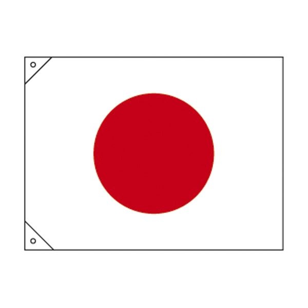 旗 日章旗(特大)