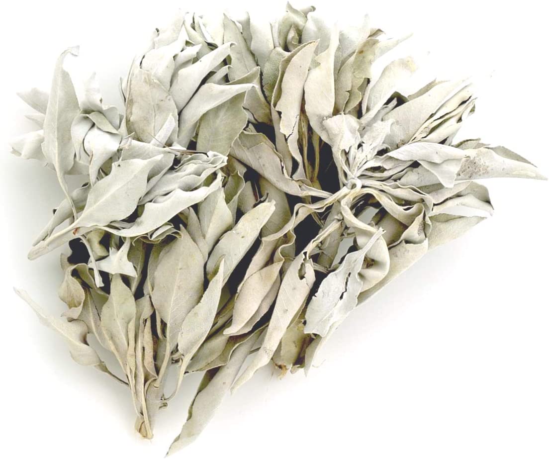 送料無料 ホワイトセージ 浄化用 2023年2月入荷分 無農薬 カリフォルニア産 高品質 選別済み クラスタータイプ（枝付きリーフ）1kg