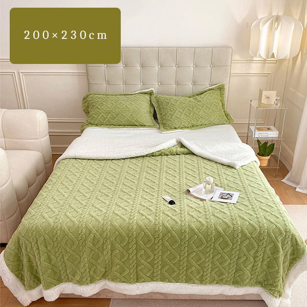 毛布 ボア ブランケット 200230 フランネル マイクロファイバー あったか 暖かい 保温性 もこもこ おしゃれ 寝具 秋冬 インテリア