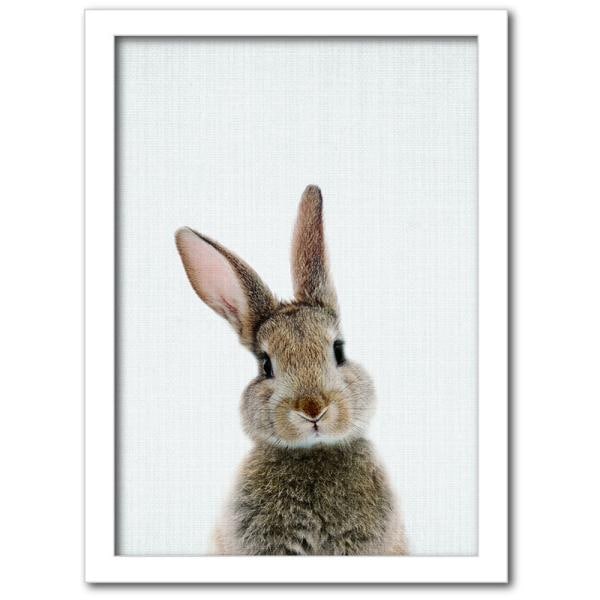 ファブリックパネル アートフレーム 飾り かわいい 動物 壁掛け ウォールデコレーション ウサギ うさぎ Animal Children series Rabbit 317x440mm