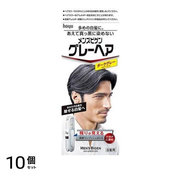 メンズビゲン グレーヘア ダークグレー [1剤40g+2剤40g] 1個 10個セット