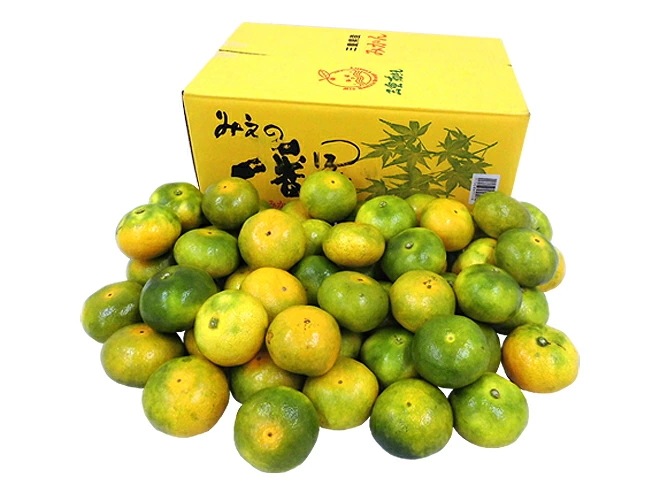 三重産 =柑みかん= 秀品（等級柑） S/M/Lサイズ 約5kg 予約 9月中旬以降