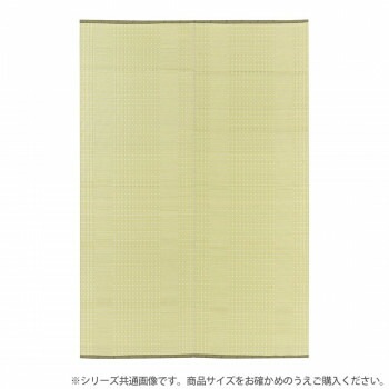 PP柄上敷 涼風（りょうふう） 江戸間4.5帖 12201245