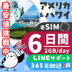 【アメリカ＆ハワイeSIM】簡単設定／使用日数：６日間／データ容量：２GB（day）／有効期限90日／最短即日発行／データ通信専用