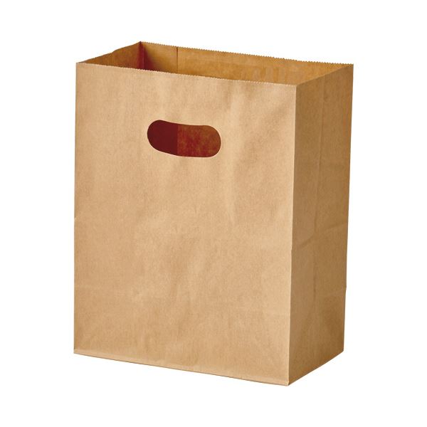 （まとめ）パックタケヤマ 手提げ紙袋 イーグリップ茶無地 M 1パック（50枚）[x10]