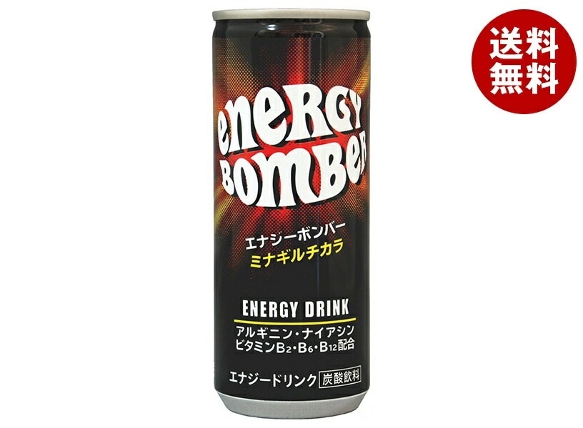 宝積飲料 エナジーボンバー 250ml缶＊30本入＊(2ケース) 5,761円