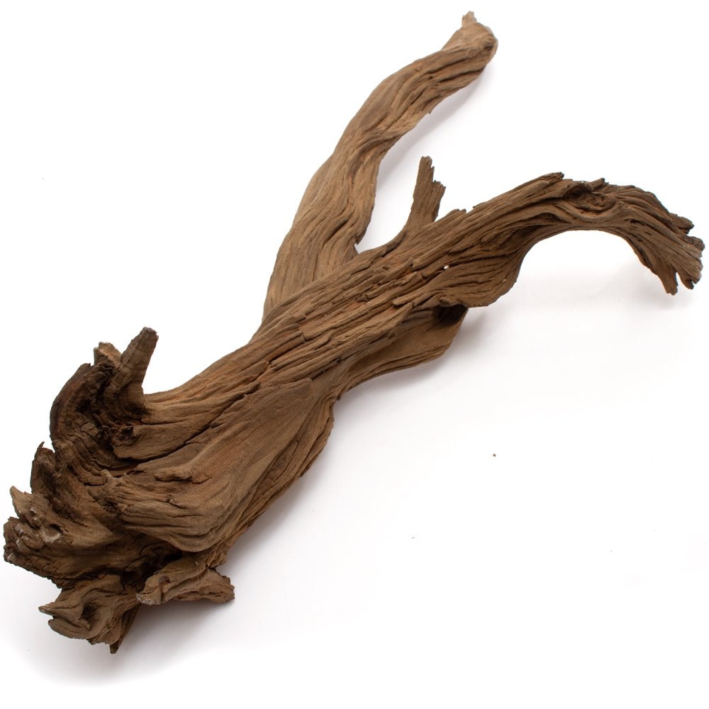 形状お任せ　煮込み済み　ゴーストウッド　Ｌサイズ（約６０ー８０ｃｍ）　１本　レイアウト素材　流木　ＣＲＣ21―10―20―30―00