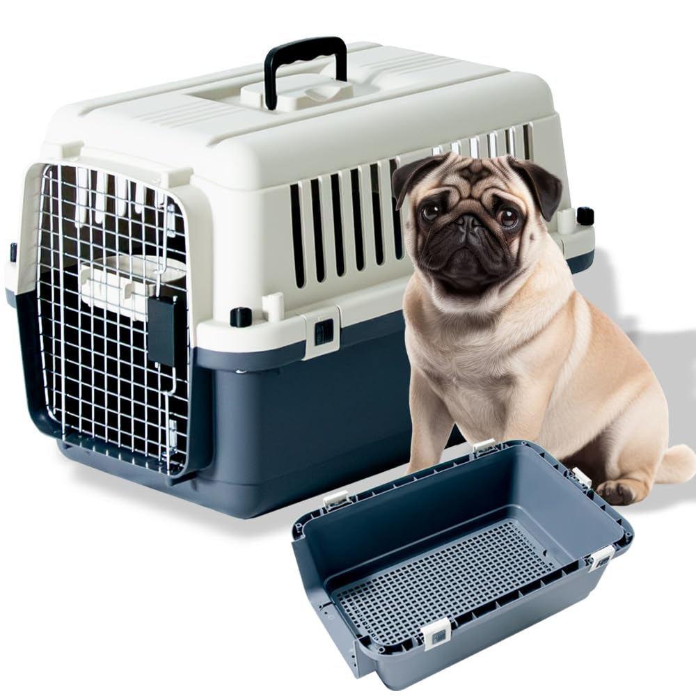 プチリュバン ペットキャリー すのこ付き DX60 猫用 小型犬用 中型犬用 IATA基準クリア クレート 14kgまで Lサイズ 奥行き60.5 x 幅40.5 x 高さ40.5cm 猫 犬