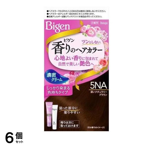 ビゲン 香りのヘアカラー クリーム 5NA 深いナチュラリーブラウン [1剤40g+2剤40g] 1個 6個セット