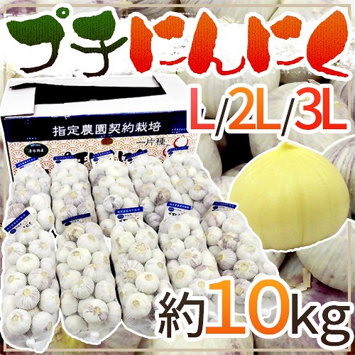 =プチにんにく= L/2L/3L 約10kg