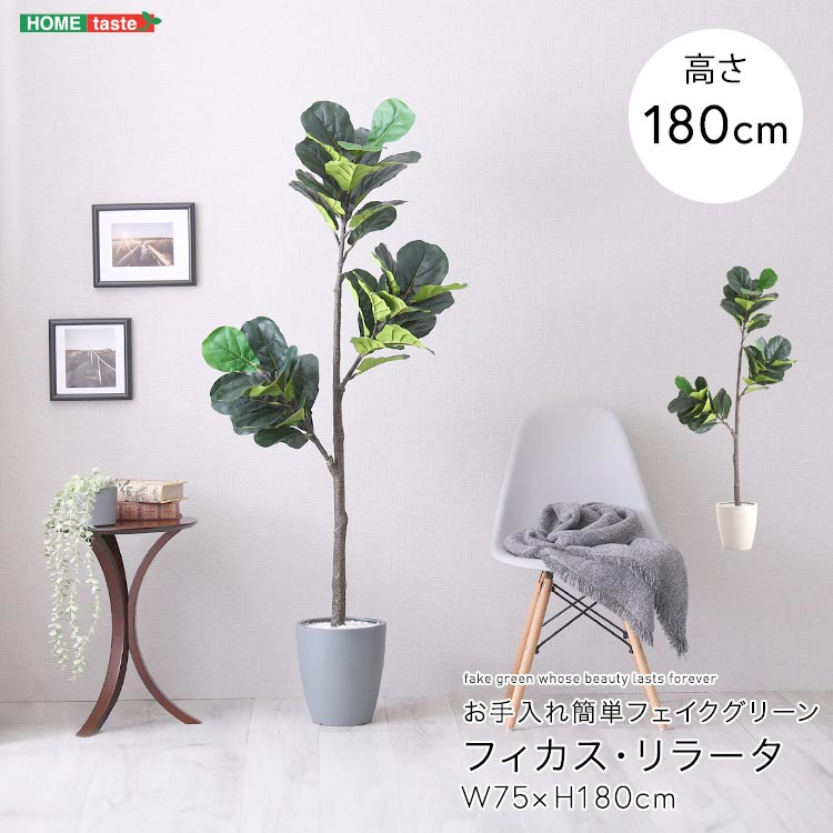 お手入れ簡単 フェイクグリーン フィカス・リラータ Lサイズ 180cm 鉢付 人工観葉植物 鉢カバー不要 造花 リアルさを追求 新生活 引っ越し 家具 インテリア 模様替え