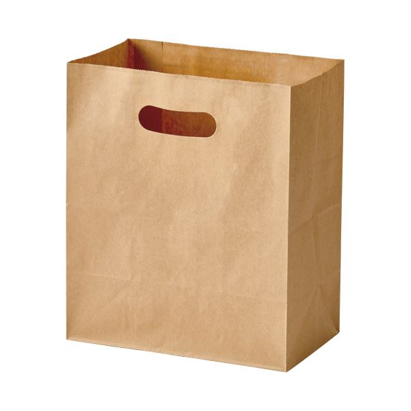 （まとめ）パックタケヤマ 手提げ紙袋 イーグリップ茶無地 LL 1パック（50枚）[x5]