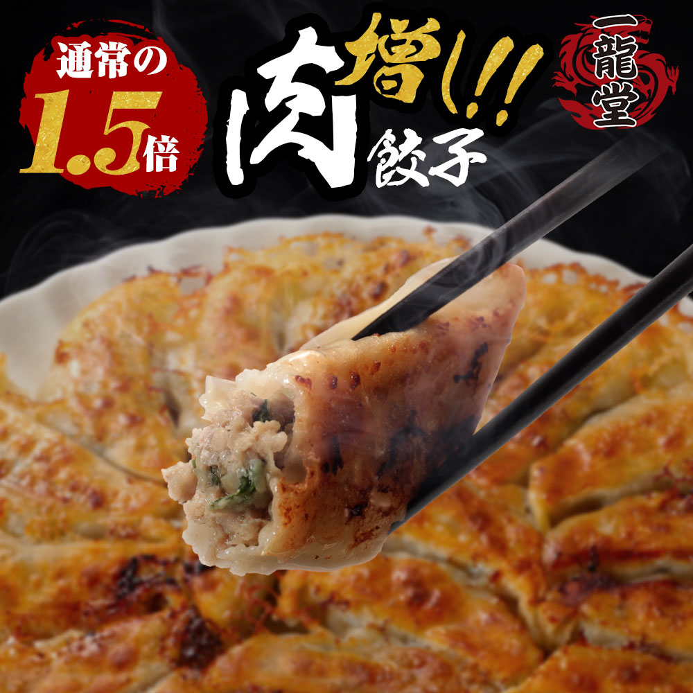 肉増し餃子100個 冷凍餃子 餃子 一龍堂