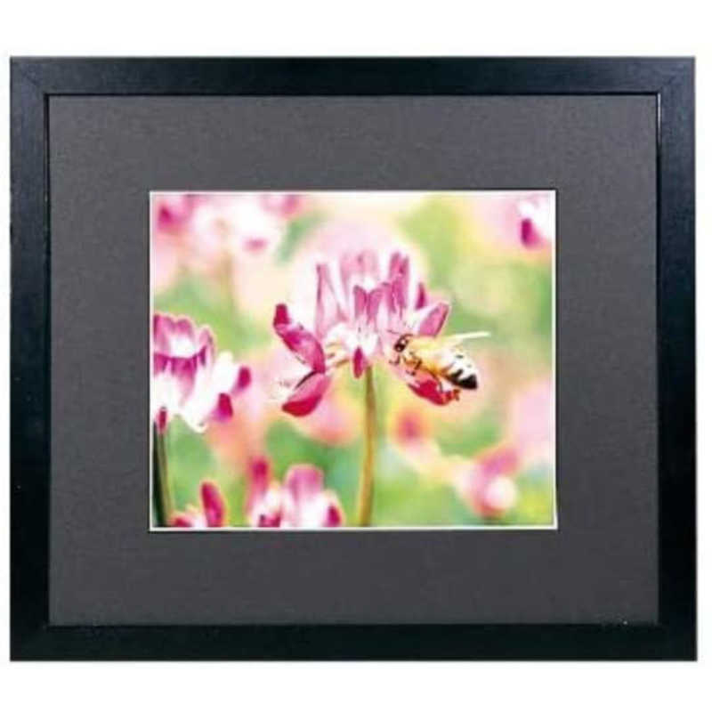 フジカラー　WマットフレームM3000 半切　M3000ハンギリ