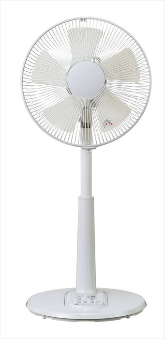 YT-3036F(W) [�z���C�g]