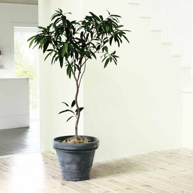 植木鉢 おしゃれ 大型 軽い ボルドー 3L(2色) 85cm 28号 ポリエチレン 特大 鉢 室内 屋外 観葉植物向け